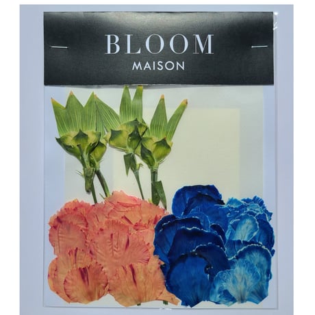 押し花｜花材セット カーネーション Pressed Flower Kit インテリア・ギフト・ウェルカムボードなどのハンドメイドに　F-983 BLOOM MAISON