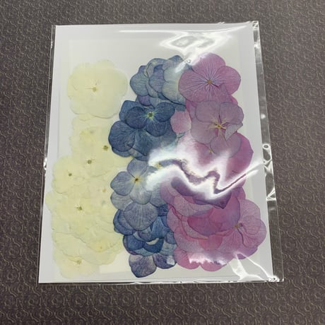 押し花エスコートカード花材　（30名様分）