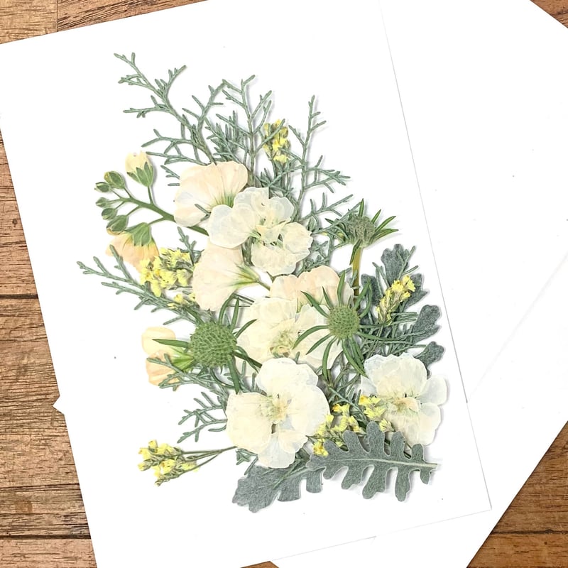 押し花セット 23-09-02 | BLOOM MAISON 押し花セット 23-09-02 | BLOOM MAISON