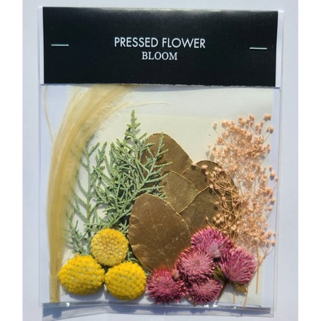 【押し花｜花材セット 千日紅 Pressed Flower Kit ギフト・ウェルカムボードなどのハンドメイドに】F-675 BLOOM MAISON