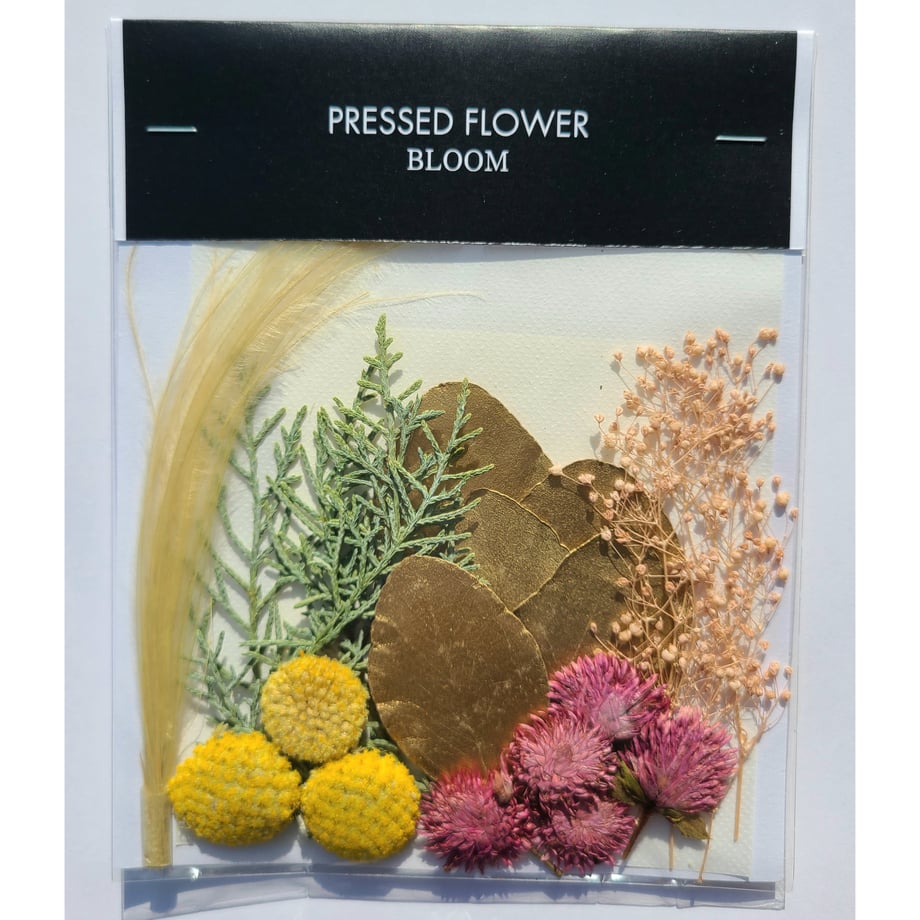 68e70d69286e63bffc60bd18