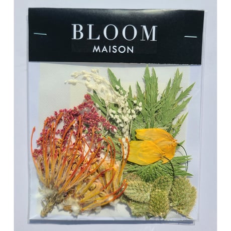 押し花｜花材セット エリンジューム Pressed Flower Kit インテリア・ギフト・ウェルカムボードなどのハンドメイドに　F-996 BLOOM MAISON