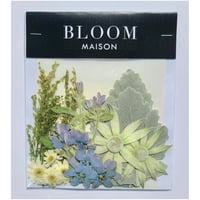 押し花｜花材セット マトリカリア Pressed Flower Kit インテリア・ギフト・ウェルカムボードなどのハンドメイドに　F-1005 BLOOM MAISON