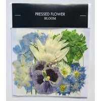 押し花｜花材セット パンジー Pressed Flower Kit インテリア・ギフト・ウェルカムボードなどのハンドメイドに　F-717 BLOOM MAISON