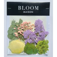 押し花｜花材セット ビバーナム Pressed Flower Kit インテリア・ギフト・ウェルカムボードなどのハンドメイドに　F-990 BLOOM MAISON