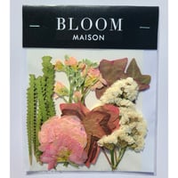 押し花｜花材セット アイビー Pressed Flower Kit インテリア・ギフト・ウェルカムボードなどのハンドメイドに　F-917 BLOOM MAISON