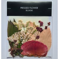 【押し花｜花材セット シンフォリカルポス Pressed Flower Kit ギフト・ウェルカムボードなどのハンドメイドに】F-578 BLOOM MAISON