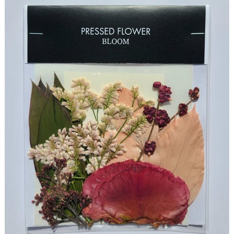 【押し花｜花材セット シンフォリカルポス Pressed Flower Kit ギフト・ウェルカムボードなどのハンドメイドに】F-578 BLOOM MAISON