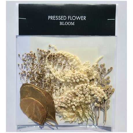 【押し花｜花材セット ライスフラワー Pressed Flower Kit ギフト・ウェルカムボードなどのハンドメイドに】F-676 BLOOM MAISON