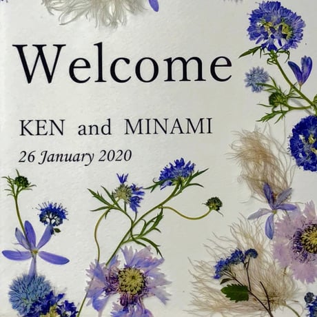 【押し花｜花材セット プリザーブドフラワーカスミソウ Pressed Flower Kit ギフト・ウェルカムボードなどのハンドメイドに】F-670 BLOOM MAISON