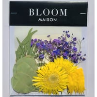 押し花｜花材セット ガーベラ Pressed Flower Kit インテリア・ギフト・ウェルカムボードなどのハンドメイドに　F-936 BLOOM MAISON