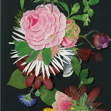 ノアール　アートスタイル