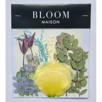 押し花｜花材セット トルコキキョウ Pressed Flower Kit インテリア・ギフト・ウェルカムボードなどのハンドメイドに　F-1066 BLOOM MAISON