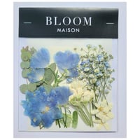 押し花｜花材セット ホワイトスター Pressed Flower Kit インテリア・ギフト・ウェルカムボードなどのハンドメイドに　F-1089 BLOOM MAISON
