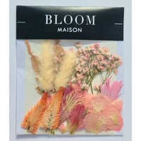 押し花｜花材セット セロシア Pressed Flower Kit インテリア・ギフト・ウェルカムボードなどのハンドメイドに　F-842 BLOOM MAISON
