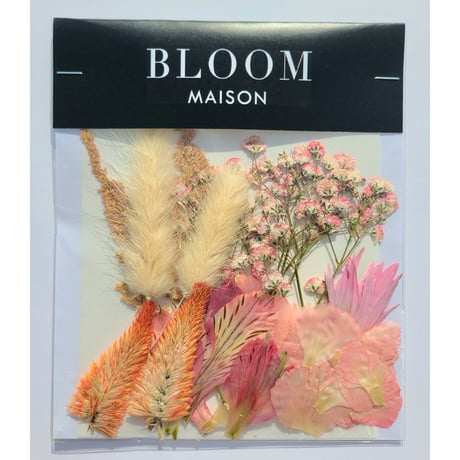 押し花｜花材セット セロシア Pressed Flower Kit インテリア・ギフト・ウェルカムボードなどのハンドメイドに　F-842 BLOOM MAISON