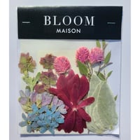 押し花｜花材セット オレガノ Pressed Flower Kit インテリア・ギフト・ウェルカムボードなどのハンドメイドに　F-906 BLOOM MAISON