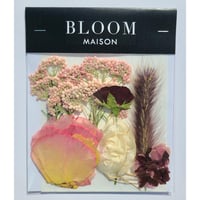押し花｜花材セット トルコキキョウ Pressed Flower Kit インテリア・ギフト・ウェルカムボードなどのハンドメイドに　F-987 BLOOM MAISON