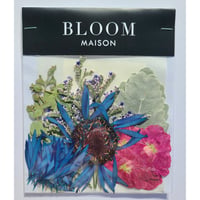 押し花｜花材セット SPストック Pressed Flower Kit インテリア・ギフト・ウェルカムボードなどのハンドメイドに　F-820 BLOOM MAISON