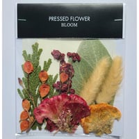 【押し花｜花材セット 鈴バラの実 Pressed Flower Kit ギフト・ウェルカムボードなどのハンドメイドに】F-563 BLOOM MAISON