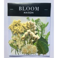 押し花｜花材セット ハイブリッドスターチス Pressed Flower Kit インテリア・ギフト・ウェルカムボードなどのハンドメイドに　F-907 BLOOM MAISON