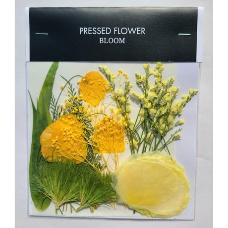 【押し花｜花材セット テマリ草 Pressed Flower Kit ギフト・ウェルカムボードなどのハンドメイドに】F-658 BLOOM MAISON
