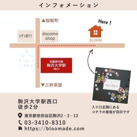 【2025年9月～12月】押し花のお教室：１Dayレッスン  植物標本