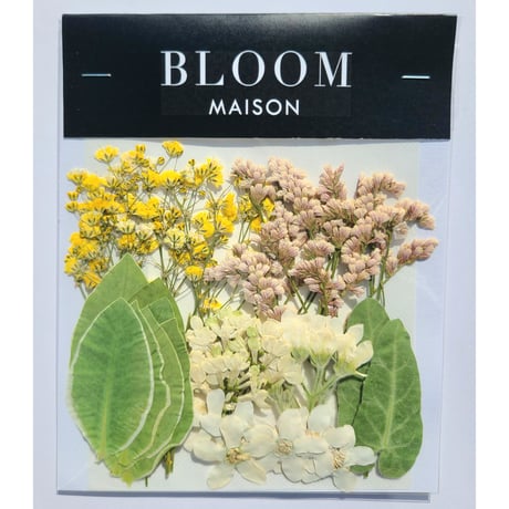 押し花｜花材セット 初雪草 Pressed Flower Kit インテリア・ギフト・ウェルカムボードなどのハンドメイドに　F-977 BLOOM MAISON