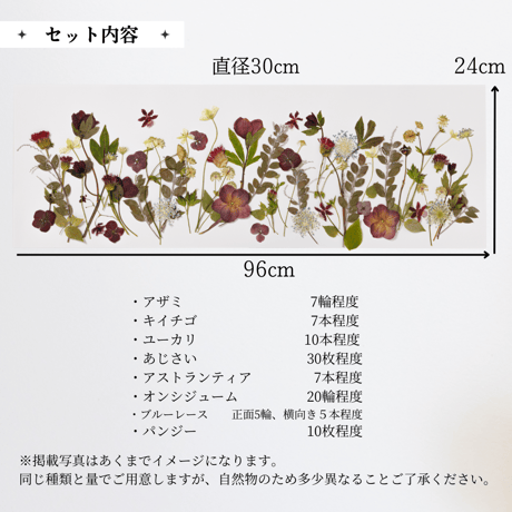 押し花素材（ブルーミングケーキ）アンティーク系　送料込み