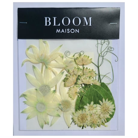 押し花｜花材セット フランネルフラワー Pressed Flower Kit インテリア・ギフト・ウェルカムボードなどのハンドメイドに　F-1077 BLOOM MAISON