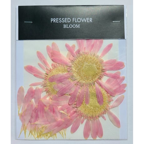 【押し花｜花材セット ガーベラ  Pressed Flower Kit ギフト・ウエルカムボードなどのハンドメイドに】F-473 BLOOM MAISON