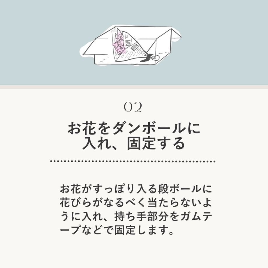 65436233c362b30029ce7488
