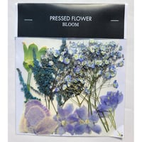 【押し花｜花材セット スプレーデルフィニウム Pressed Flower Kit ギフト・ウェルカムボードなどのハンドメイドに】F-611 BLOOM MAISON