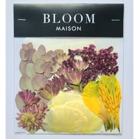 押し花｜花材セット アルストロメリア Pressed Flower Kit インテリア・ギフト・ウェルカムボードなどのハンドメイドに　F-1051 BLOOM MAISON