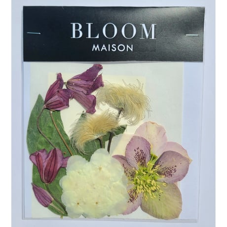 押し花｜花材セット クレマチス キボ Pressed Flower Kit インテリア・ギフト・ウェルカムボードなどのハンドメイドに　F-1035 BLOOM MAISON