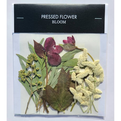 押し花｜花材セット クリスマスローズ Pressed Flower Kit インテリア・ギフト・ウェルカムボードなどのハンドメイドに　F-708 BLOOM MAISON