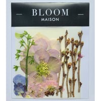 押し花｜花材セット さくら Pressed Flower Kit インテリア・ギフト・ウェルカムボードなどのハンドメイドに　F-963 BLOOM MAISON