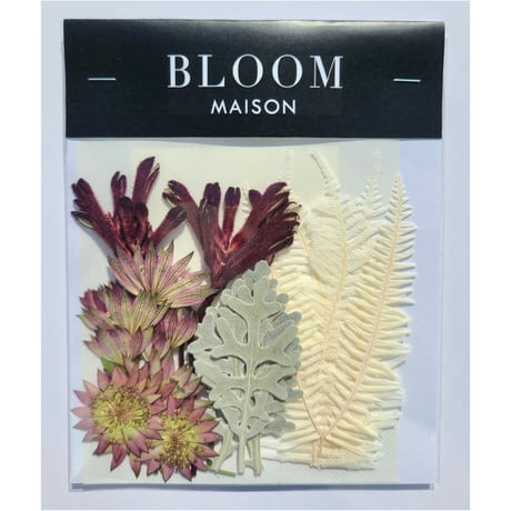押し花｜花材セット カンガルーポー Pressed Flower Kit インテリア・ギフト・ウェルカムボードなどのハンドメイドに　F-1010 BLOOM MAISON
