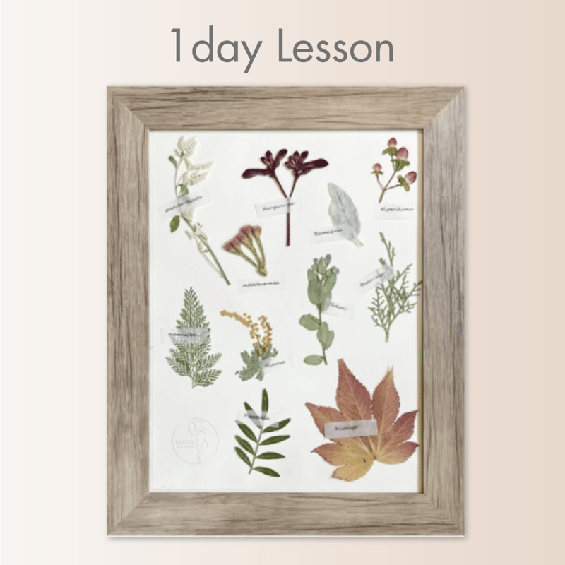 2026年1月～8月】押し花のお教室：1Dayレッスン 植物標本 | BLOOM MAISON
