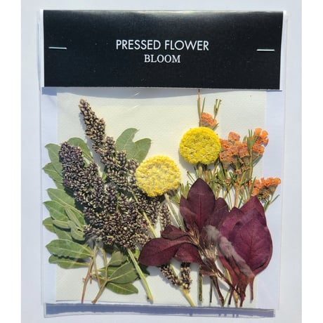 【押し花｜花材セット フレイクショコラータ Pressed Flower Kit インテリア・ギフト・ウェルカムボードなどのハンドメイドに】F-697 BLOOM MAISON