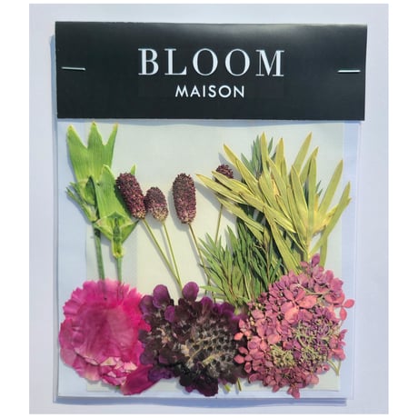押し花｜花材セット スカビオサ Pressed Flower Kit インテリア・ギフト・ウェルカムボードなどのハンドメイドに　F-831 BLOOM MAISON