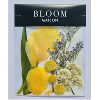 押し花｜花材セット チューリップ Pressed Flower Kit インテリア・ギフト・ウェルカムボードなどのハンドメイドに　F-843 BLOOM MAISON