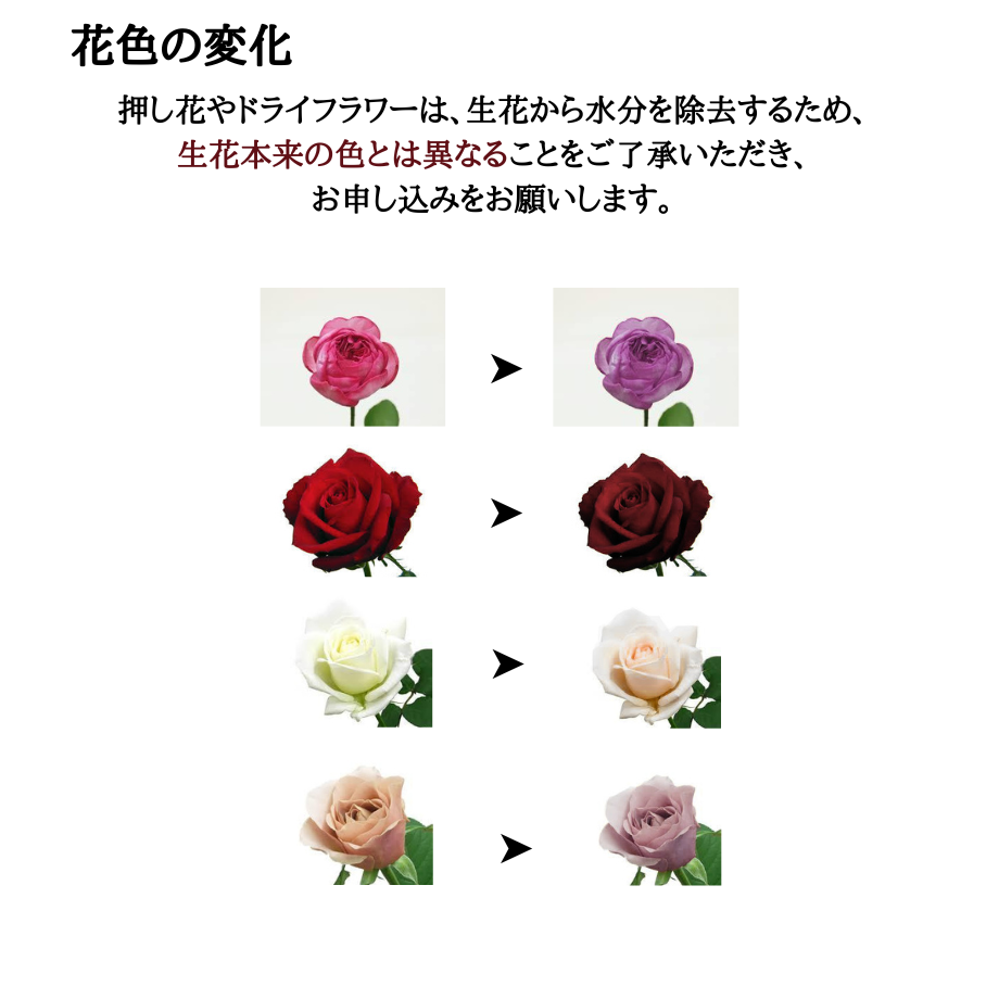 6112149184ca63340eb2d70b