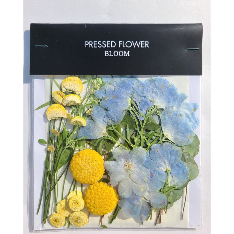 押し花｜花材セット クラスペディア Pressed Flower Kit ギフト