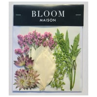 押し花｜花材セット ナズナ Pressed Flower Kit インテリア・ギフト・ウェルカムボードなどのハンドメイドに　F-1044 BLOOM MAISON