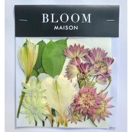 押し花｜花材セット アルストロメリア Pressed Flower Kit インテリア・ギフト・ウェルカムボードなどのハンドメイドに　F-779 BLOOM MAISON