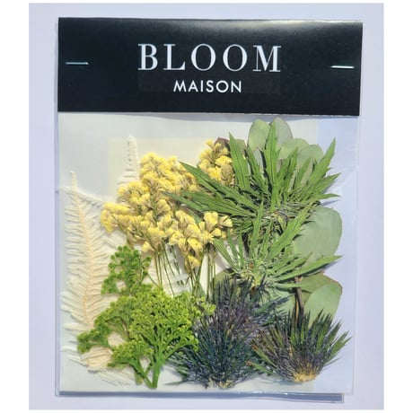 押し花｜花材セット シキミア Pressed Flower Kit インテリア・ギフト・ウェルカムボードなどのハンドメイドに　F-1013 BLOOM MAISON