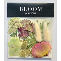 押し花｜花材セット ラグラス Pressed Flower Kit インテリア・ギフト・ウェルカムボードなどのハンドメイドに　F-1061 BLOOM MAISON