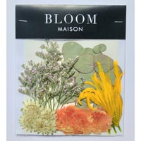押し花｜花材セット リコリス Pressed Flower Kit インテリア・ギフト・ウェルカムボードなどのハンドメイドに　F-1047 BLOOM MAISON