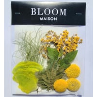 押し花｜花材セット ミモザ Pressed Flower Kit インテリア・ギフト・ウェルカムボードなどのハンドメイドに　F-931 BLOOM MAISON